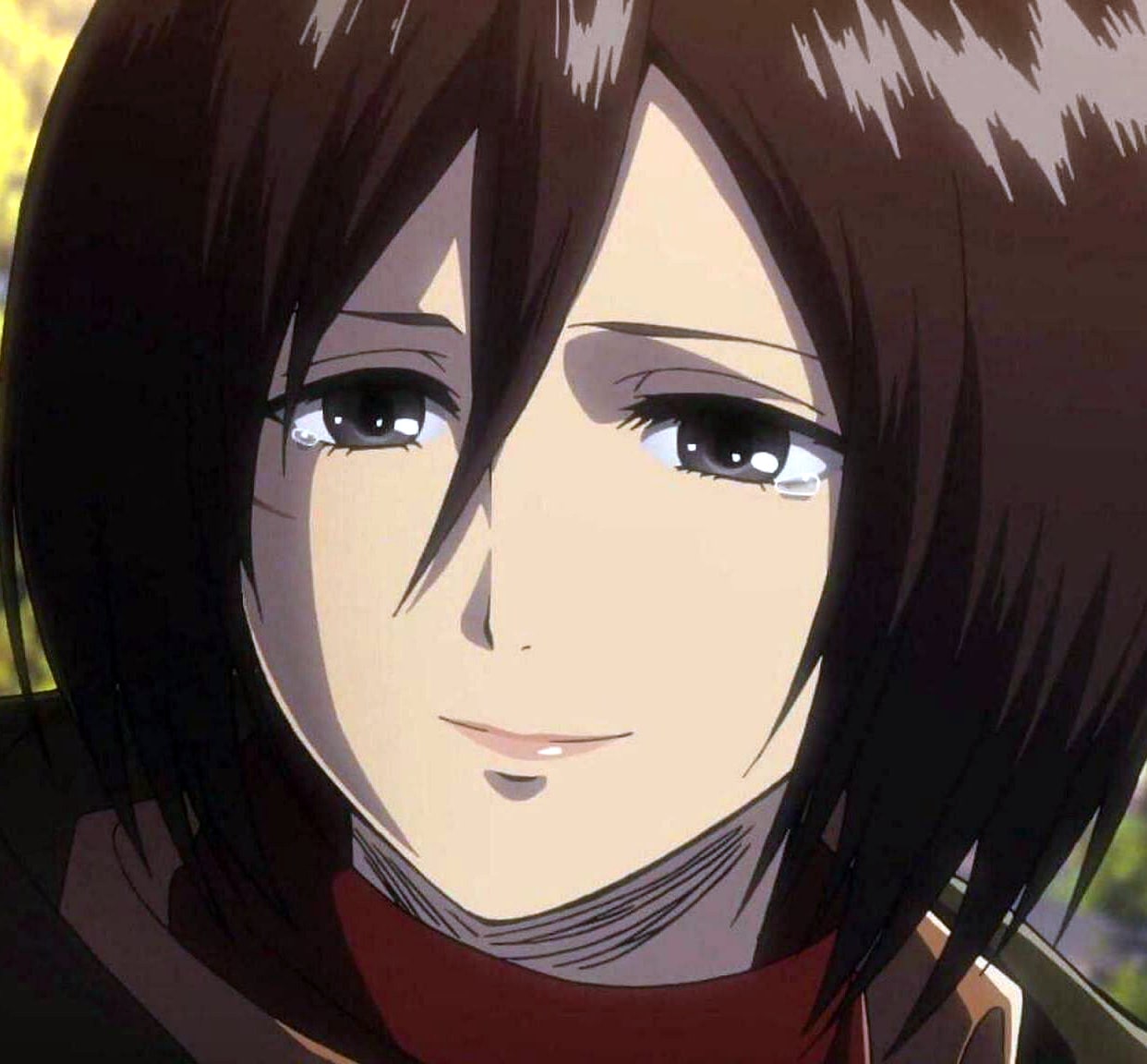 attack-on-titan-28