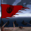 mg-fnflag2