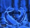 sukaihuo-heart