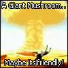 th-bozy-mushroom