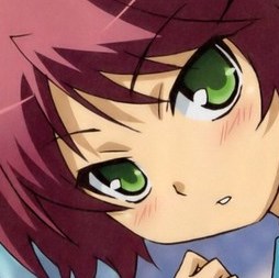 baka-and-test-10
