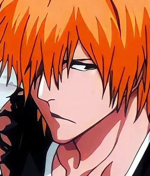 bleach-ichigo-pfp-170