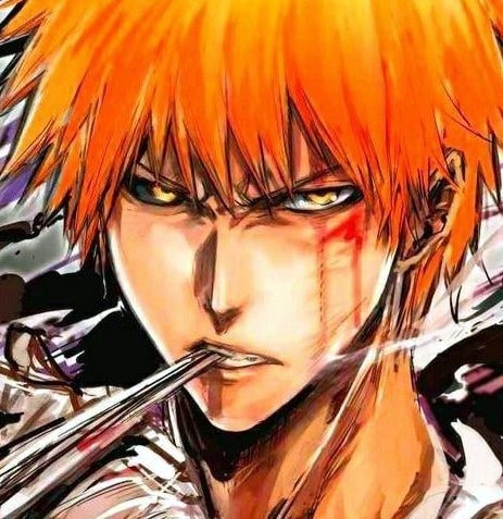 bleach-ichigo-pfp-224