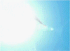 th_IncomingYoruichi