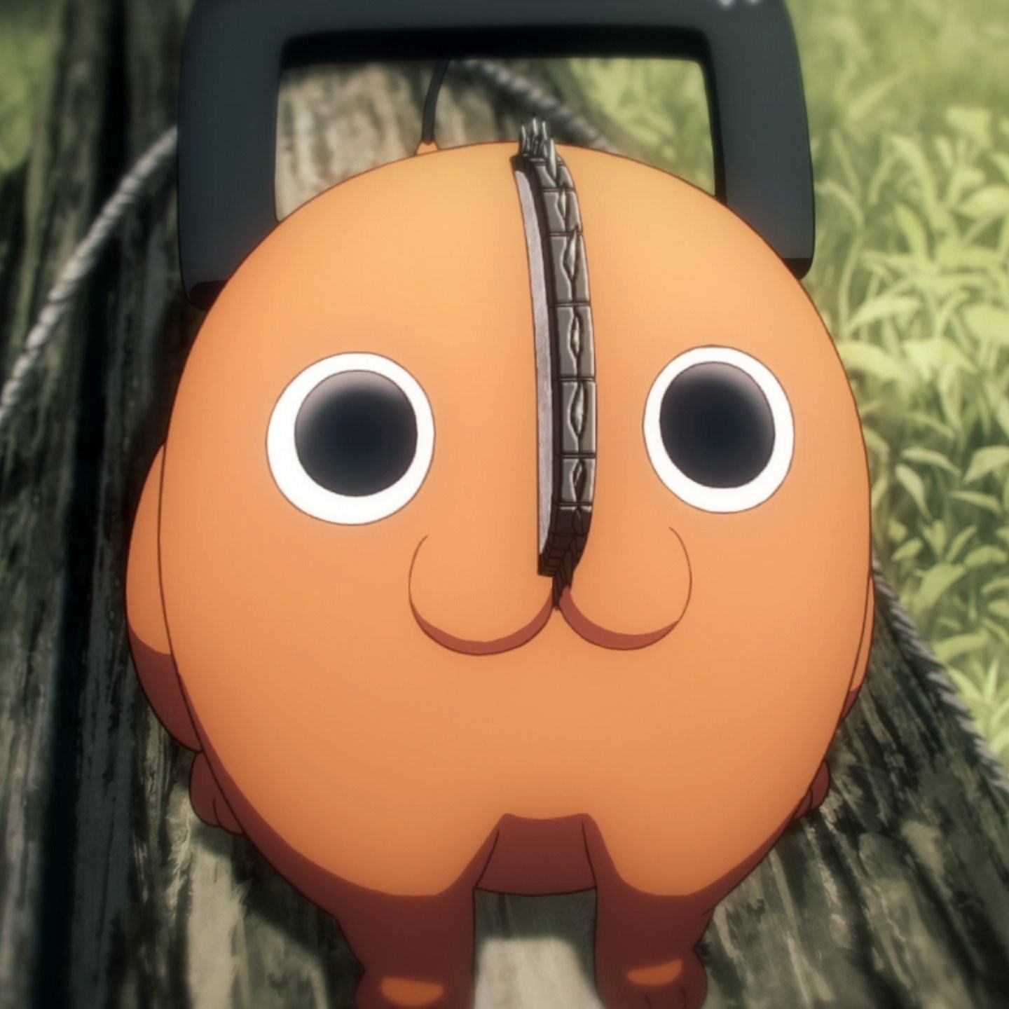 chainsaw-man-205