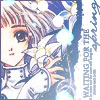 clover-016