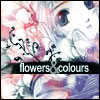 clover-045