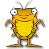 146
