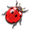 262