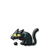 537