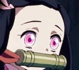 demon-slayer-nezuko-127