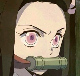 demon-slayer-nezuko-159
