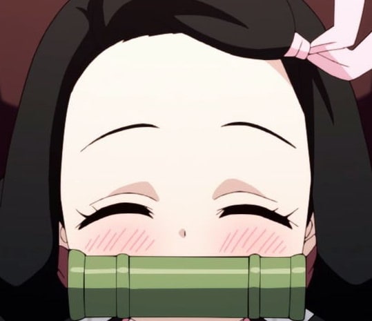 demon-slayer-nezuko-49