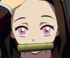 demon-slayer-nezuko-71