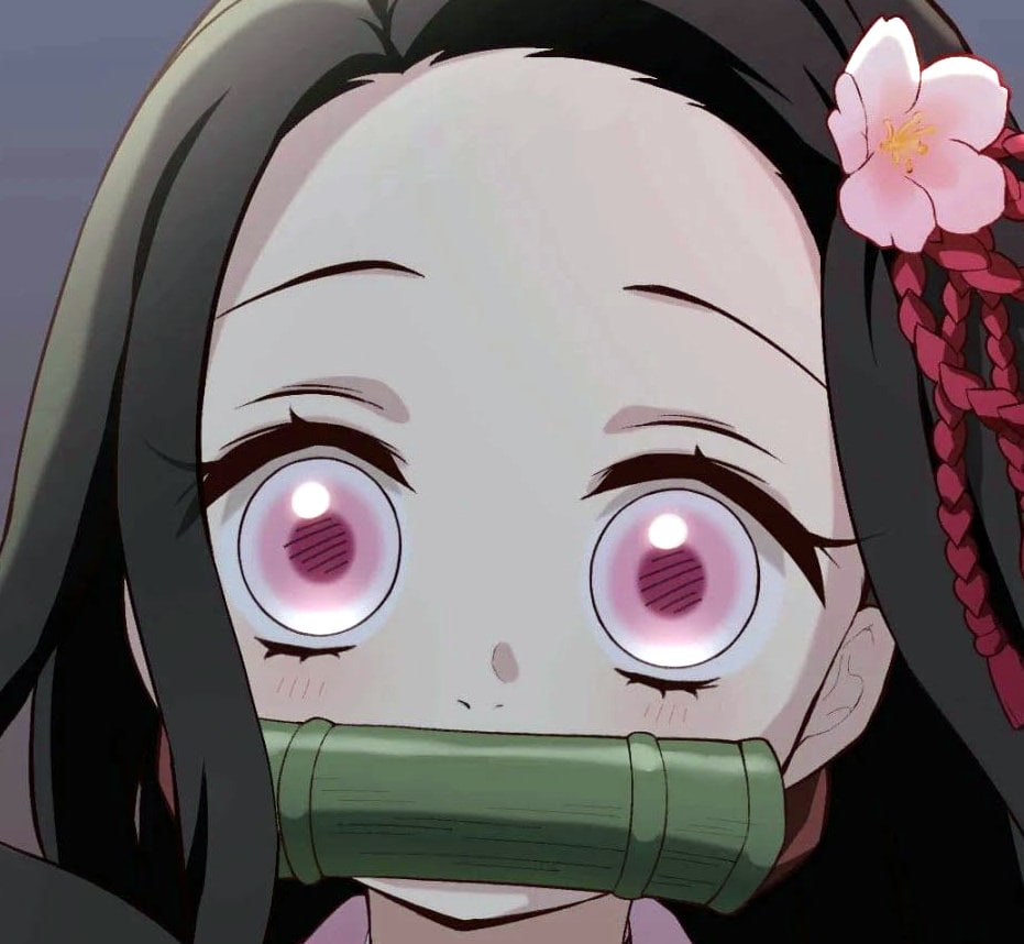 demon-slayer-nezuko-76