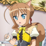 days-dog-couver-05b