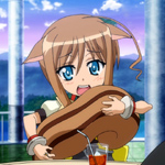 days-dog-couver-12b