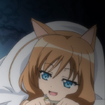 days-dog-couver-16b