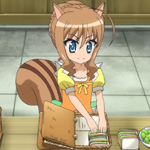 days-dog-couver-18b