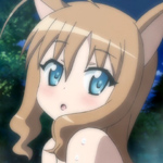 days-dog-couver-21b