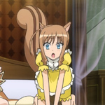 days-dog-couver-22b