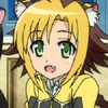 days-dog-jaune-09