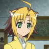 days-dog-jaune-20
