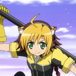 days-dog-jaune-22b
