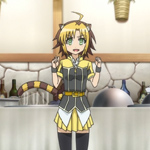days-dog-jaune-31b