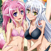 days-dog-leonmitchelli-millhiore-02