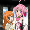 days-dog-millhiore-ricotta-02