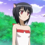 days-dog-noir-32b