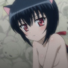 days-dog-noir-39