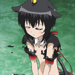 days-dog-noir-48b