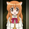 days-dog-ricotta-36