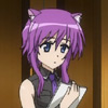 days-dog-violet-09