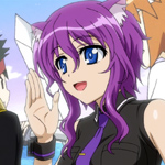 days-dog-violet-10b