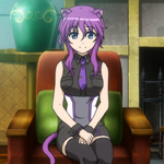 days-dog-violet-12b