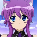 days-dog-violet-14b