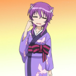 days-dog-violet-15b