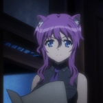 days-dog-violet-16b