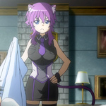 days-dog-violet-25b