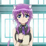 days-dog-violet-29b