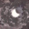 fma-36889