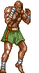 street-fighter-mix-34