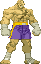 street-fighter-mix-88
