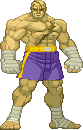 street-fighter-mix-89