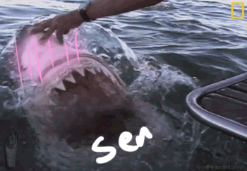 ani-gif-143