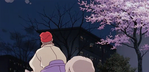 ani-gif-240