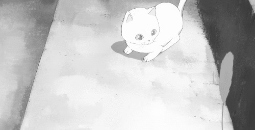 ani-gif-250